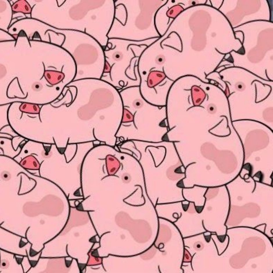 Sarah Waddles Onlyfans