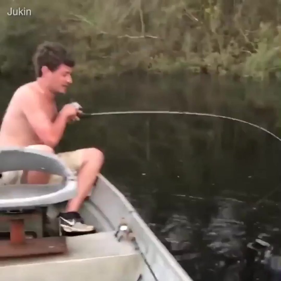 Fish leaves the water