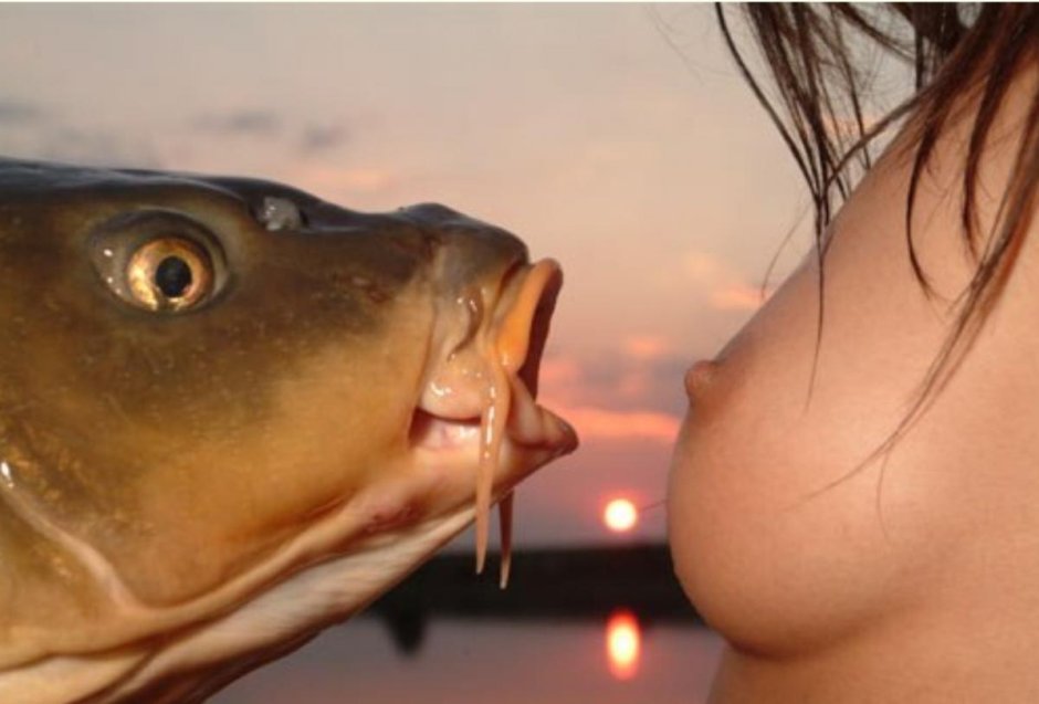Fisherman Gif