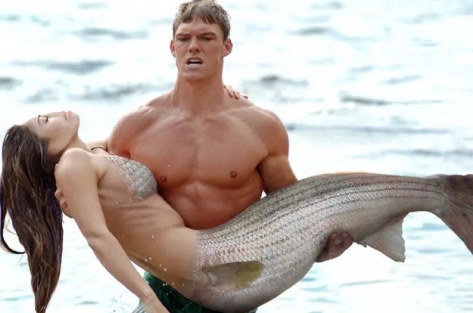Bel Dolphin guy