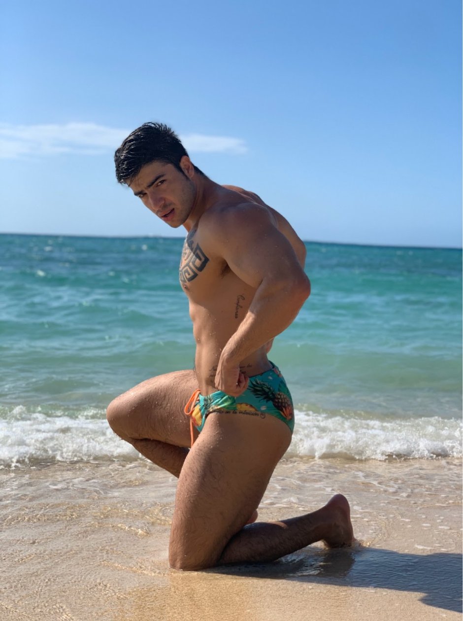 Daniel Illeskas torsos