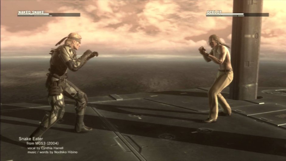 Silent Mgs 5