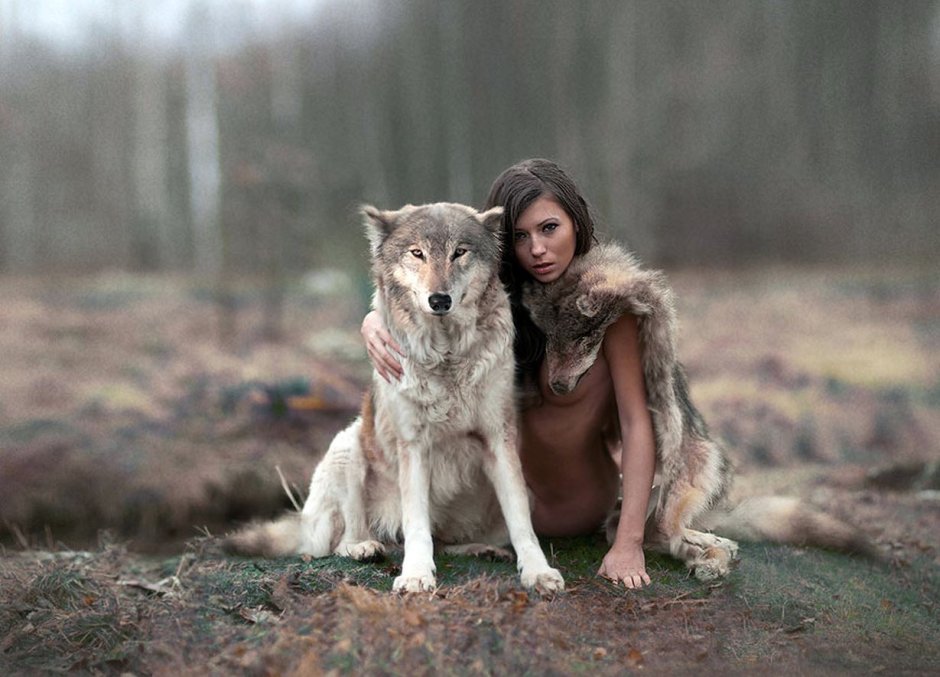 Gray Wolf Mia Boyka