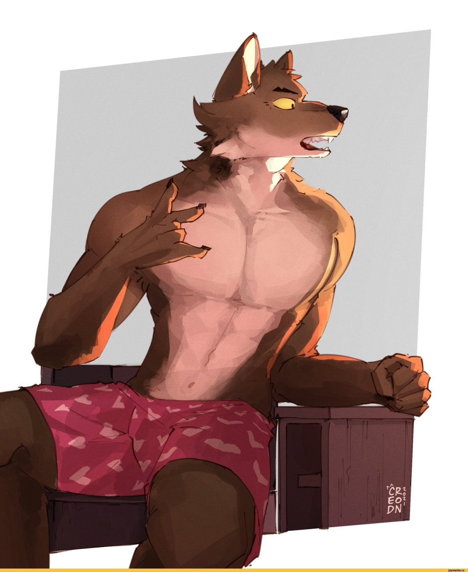The bad Guys Wolf