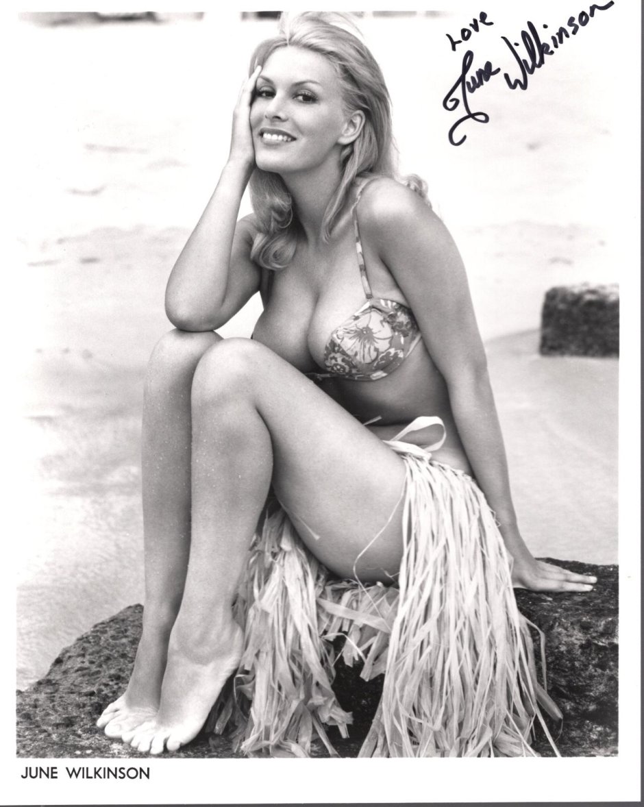 Actress Anita Ecberg Nude