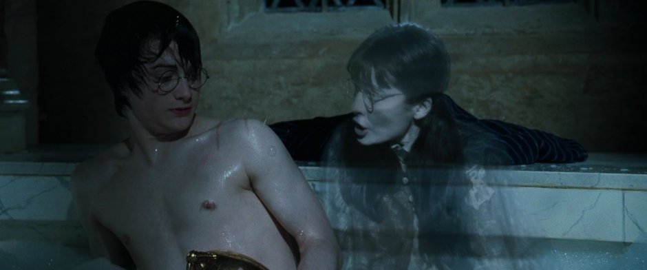 Harry and Plaxes Mirtle in the bathroom