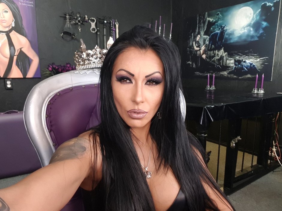 Miss Lex 365