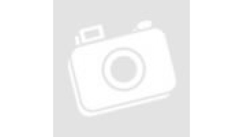 Big Brother Dark Silver