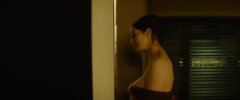 Naked Monica Bellucci In the film Irreversibility