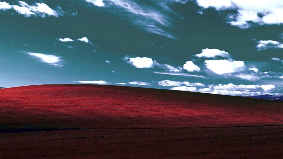 Windows desert