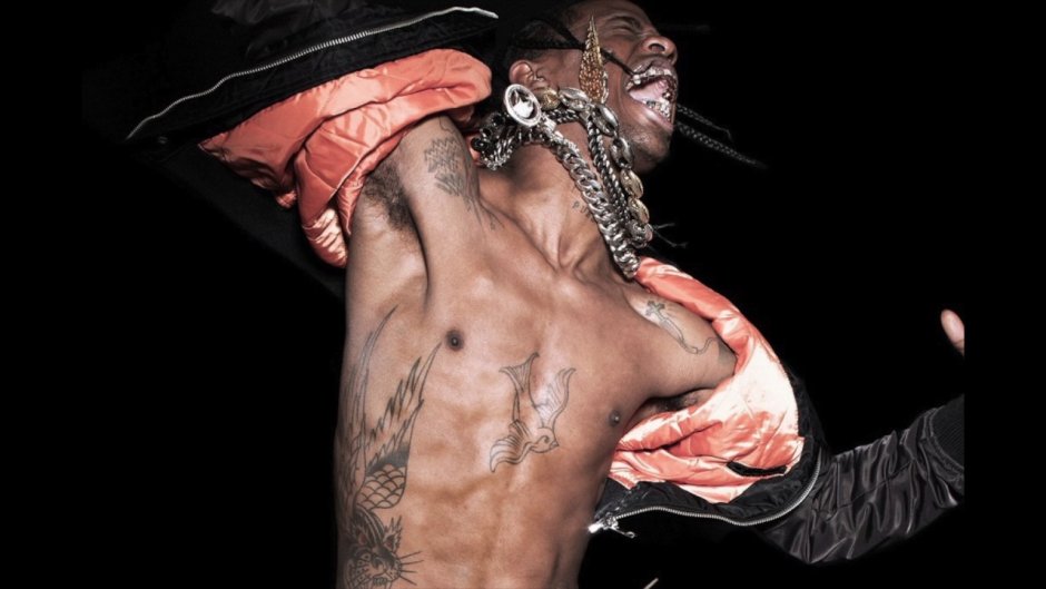 Treivis of livestock tattoos