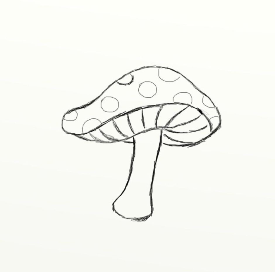Minimalism drawings for sketching
