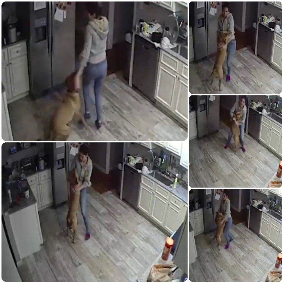 Hidden cameras in the apartment