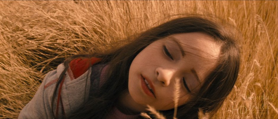 Film about the girl and father of the drug addict