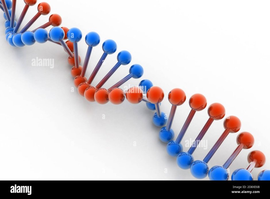 Innovation in genetics on a white background round