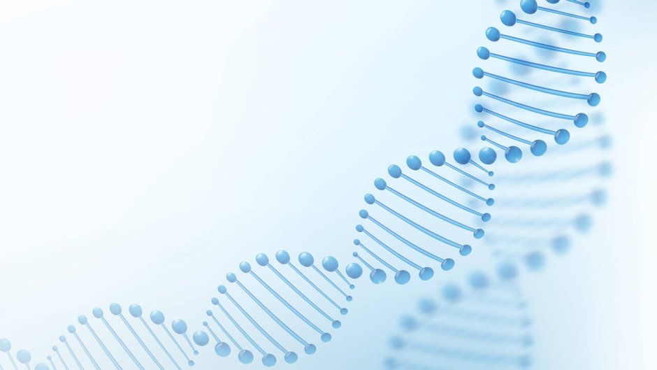 DNA on a white background