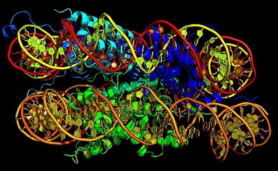 Computer model of DNA mandala