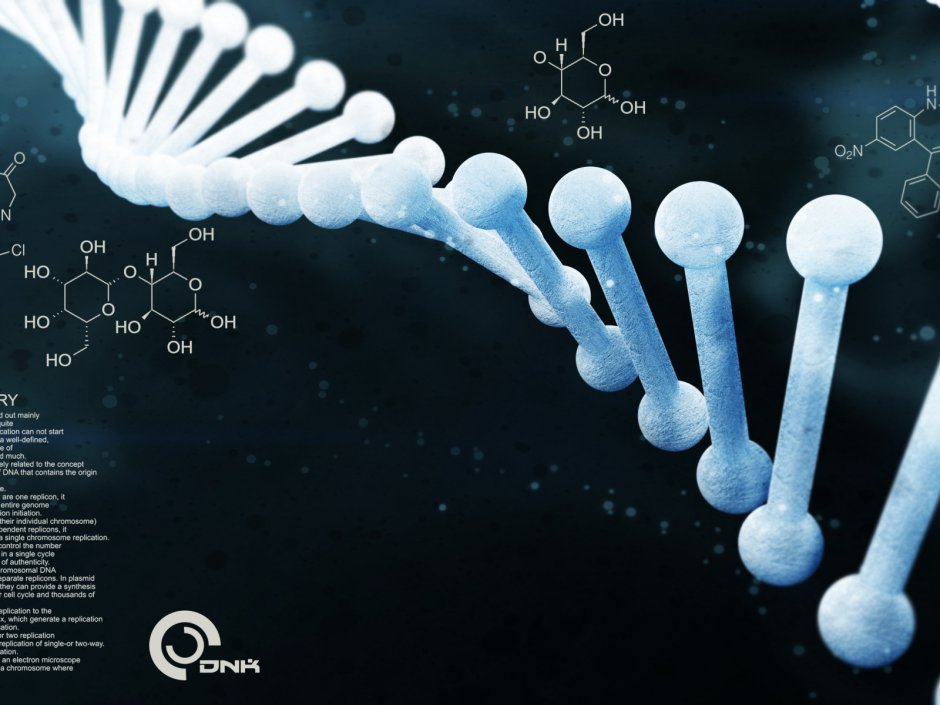 DNA molecule