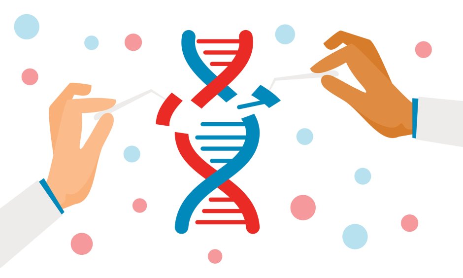 Genetic studies drawing