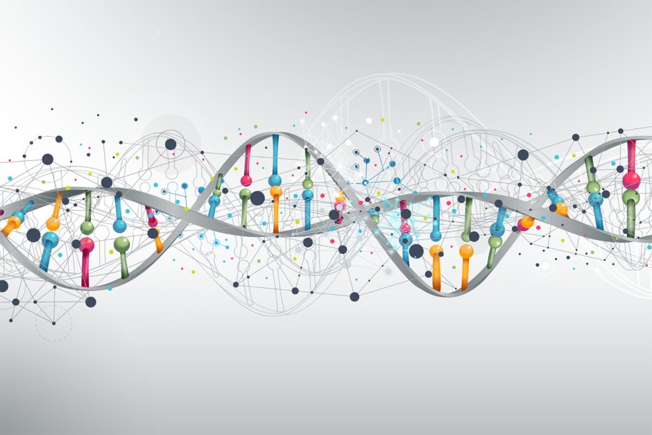 Abstraction people gather from DNA