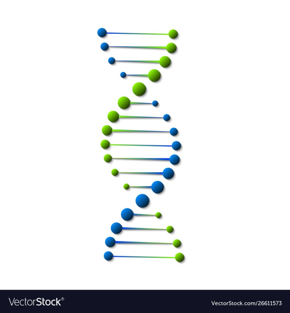 DNA molecule icon