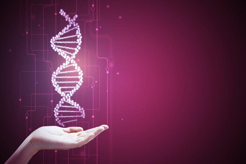 Pink DNA