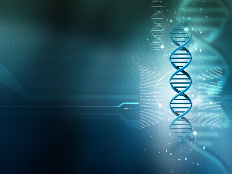 DNA chain