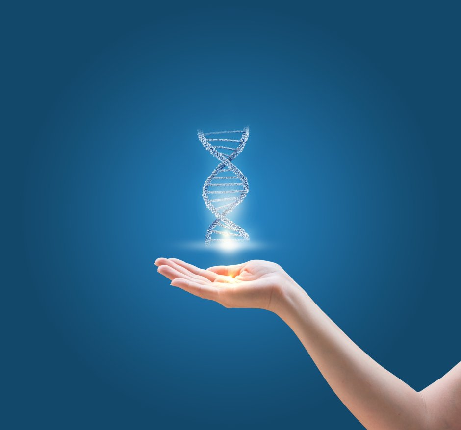 DNA in the hand