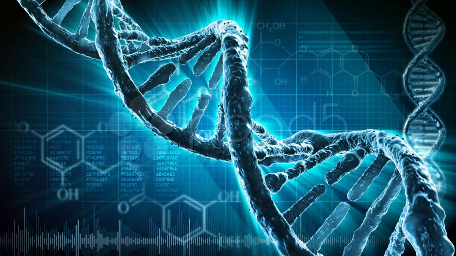 DNA chain
