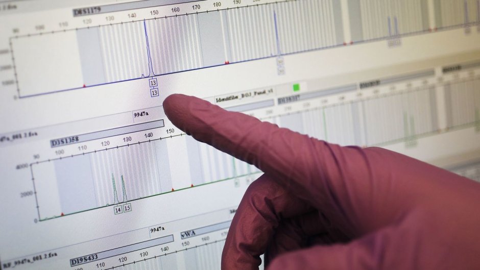 DNA database