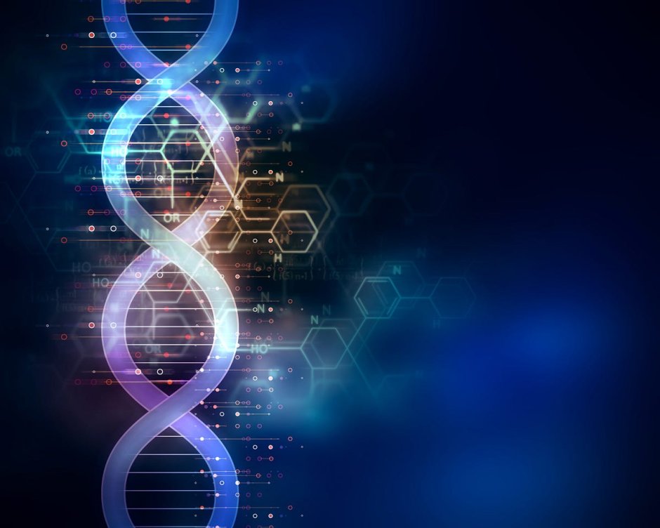 Leader Genetics