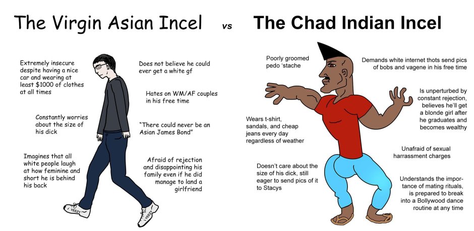 FAN VS CHAD