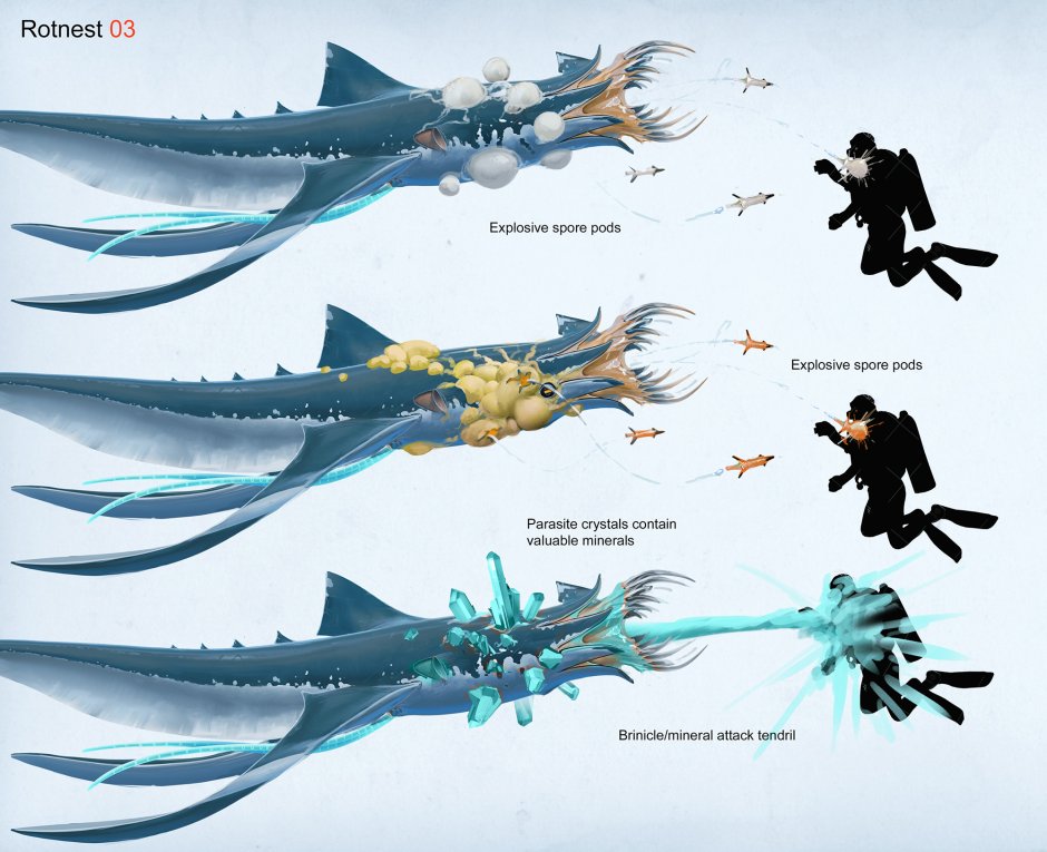 Belov Subhanasy Zero map