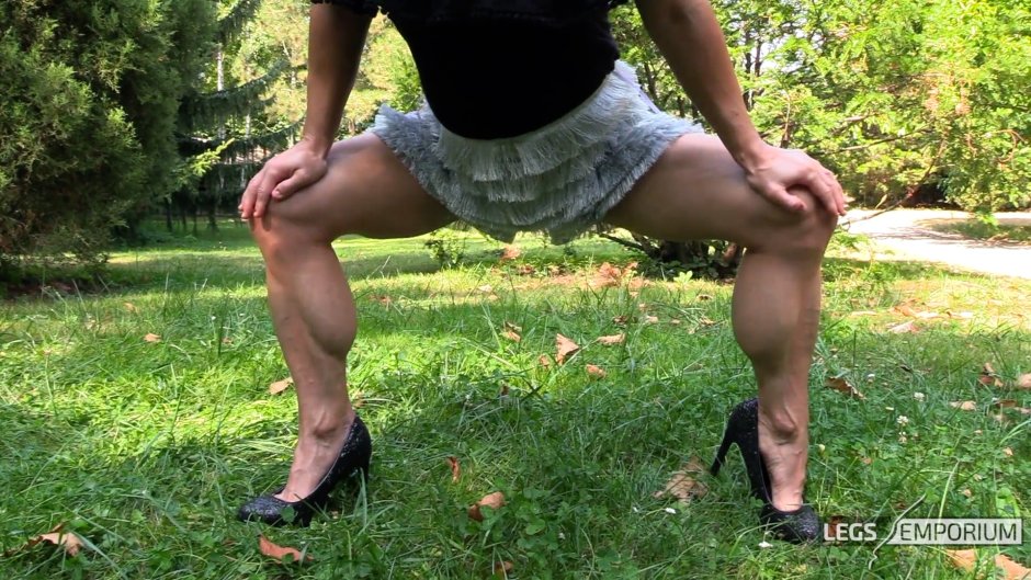 Calves outdoors