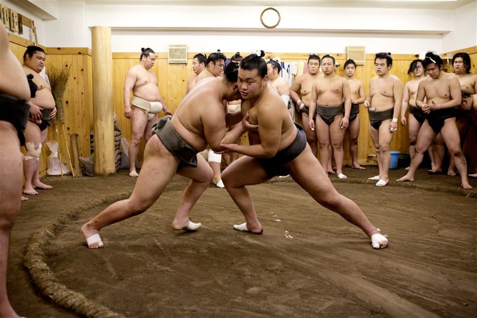 World champion in Sumo from Crimea