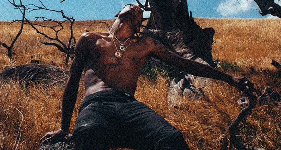 Cactus Jack Travis Scott Logo