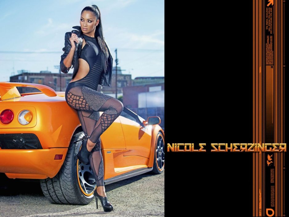 Nicole Sherzinger playboy