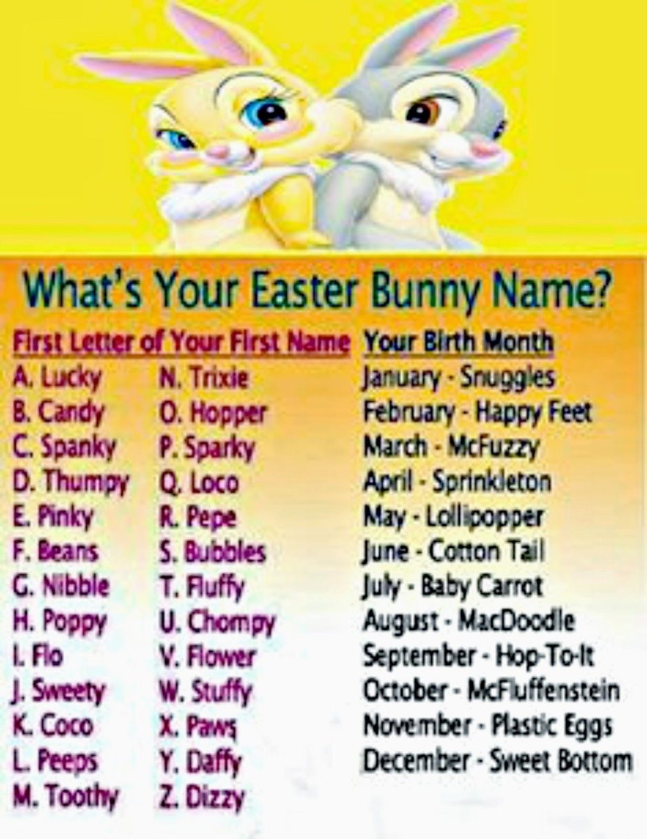 Group with the name Bunny