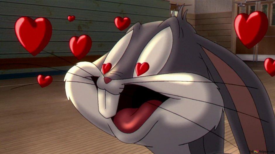 Bags Banny Gifs Rabbit