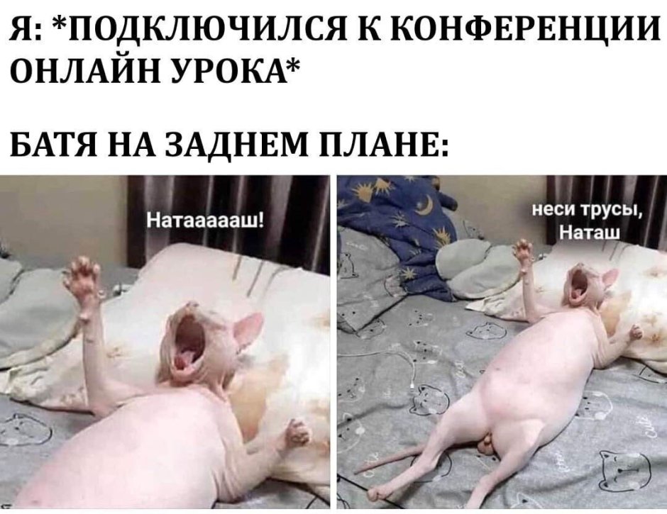 Bioenergetic massage FOKHOU