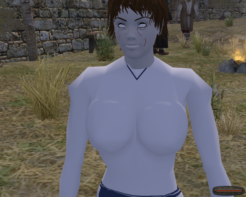 Mount and Blade Cobra detachment