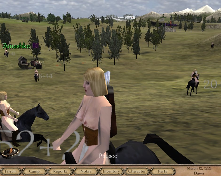Mount and Blade: Warband. RIBHINN WARS