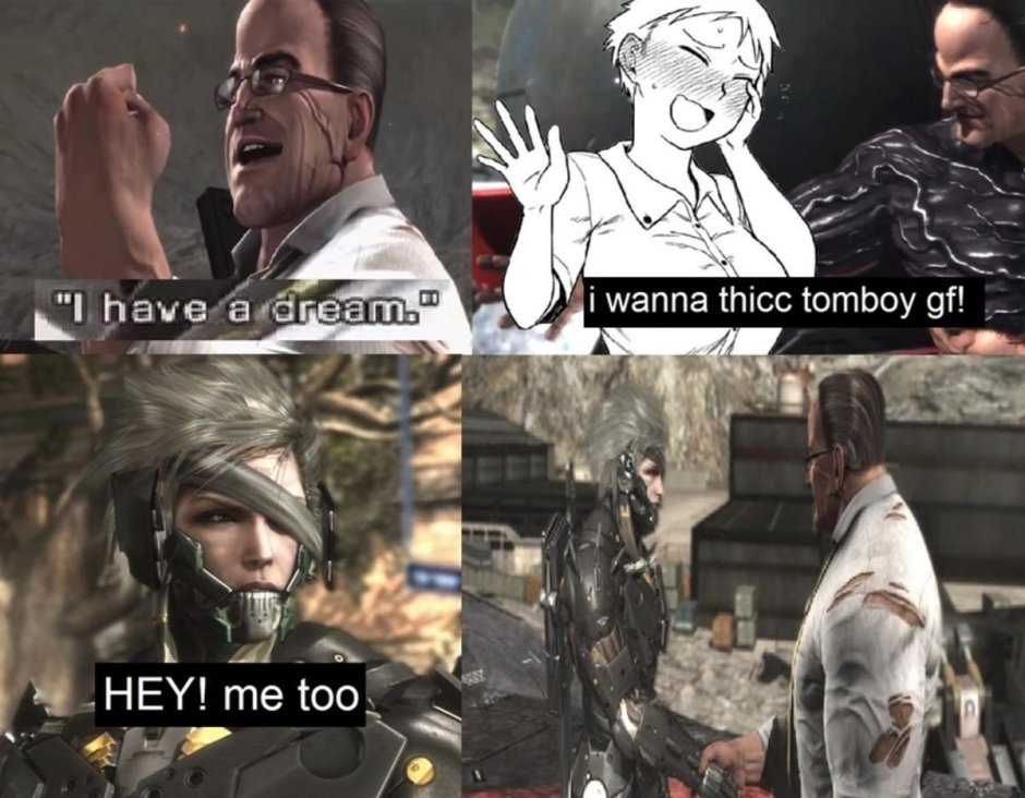 Raiden Metal Gear Riding
