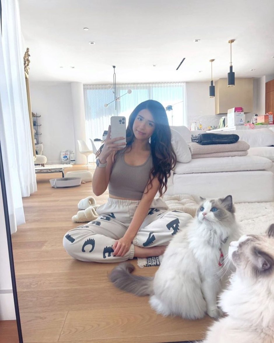 Pokimane Streamer Evil