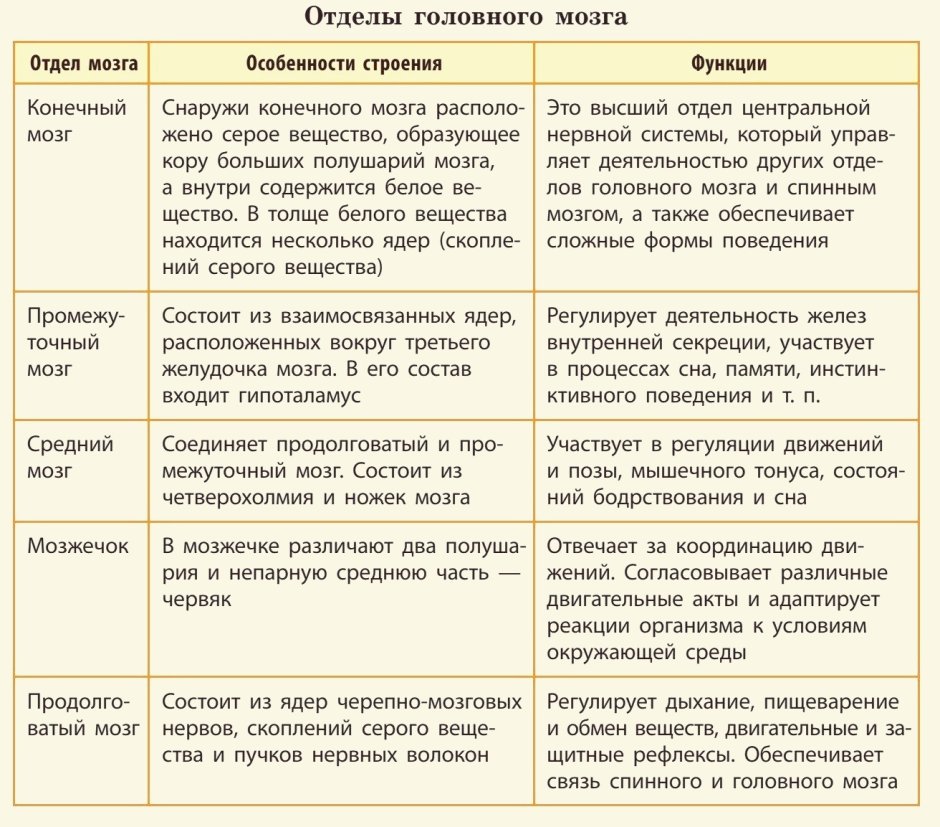 Press muscles in women