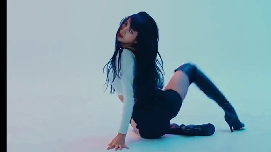 Croatian Institute model