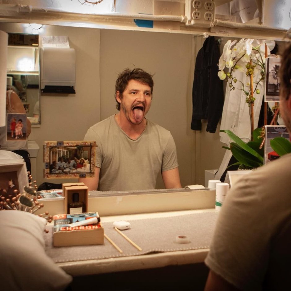 Pedro Pascal memes