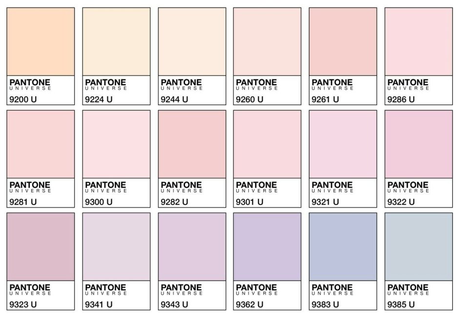 Color palette 2022 Pantone