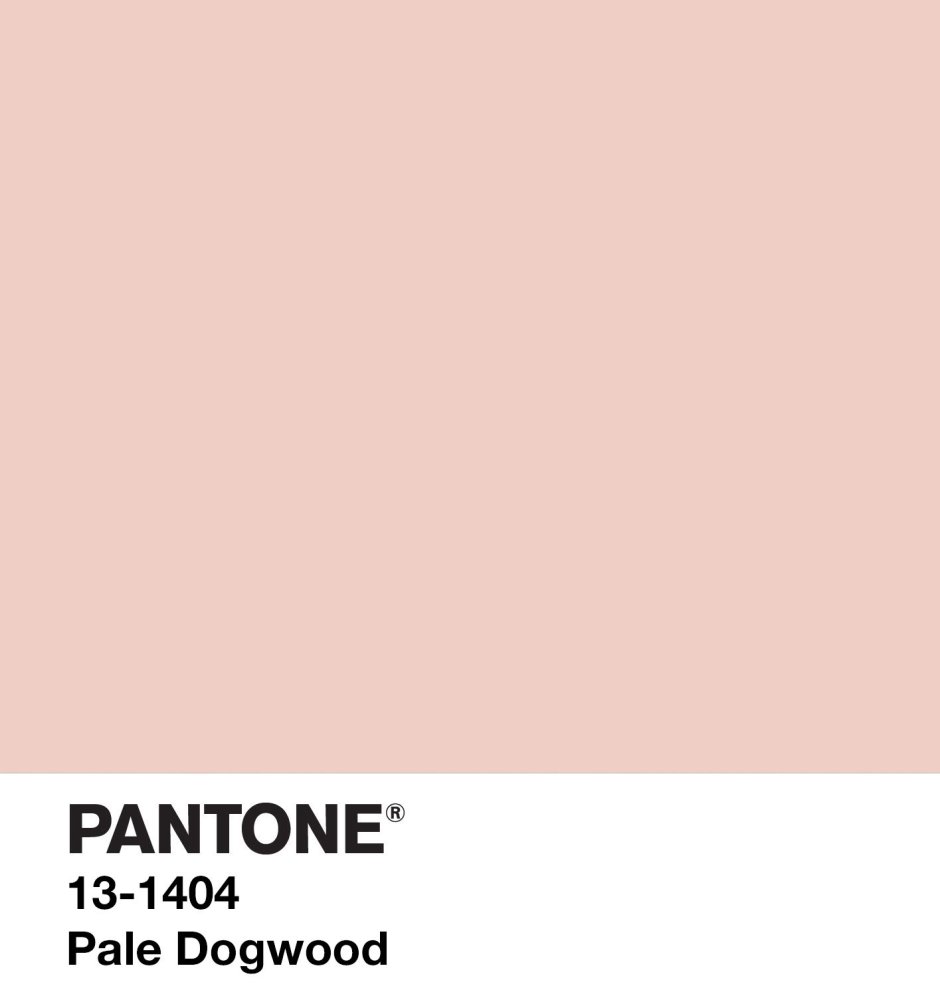 Trend colors Panton pink