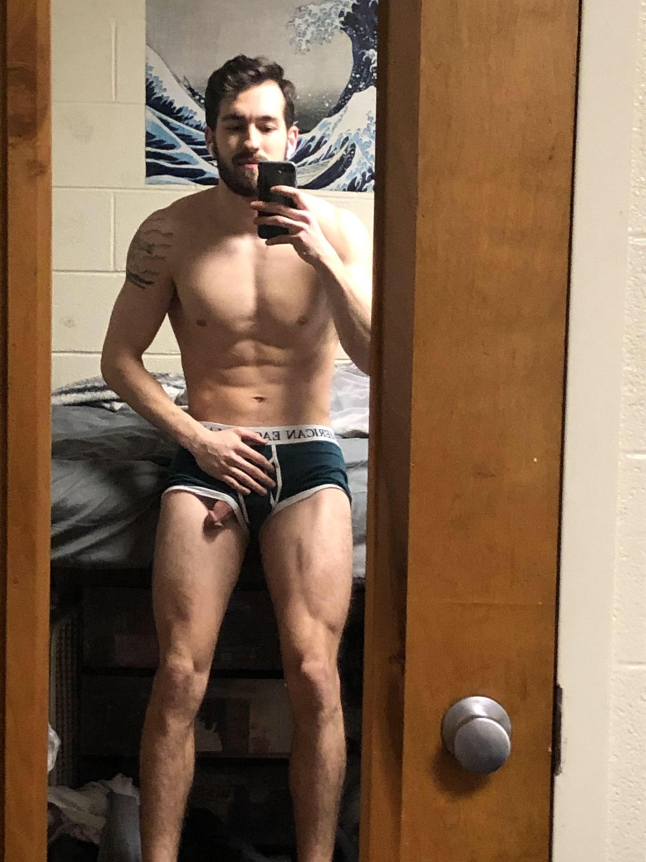 Freddie torus torso
